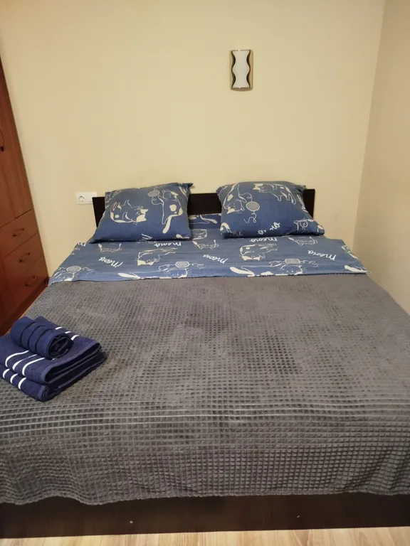 Уютная квартира рядом с жд и автовокзалом