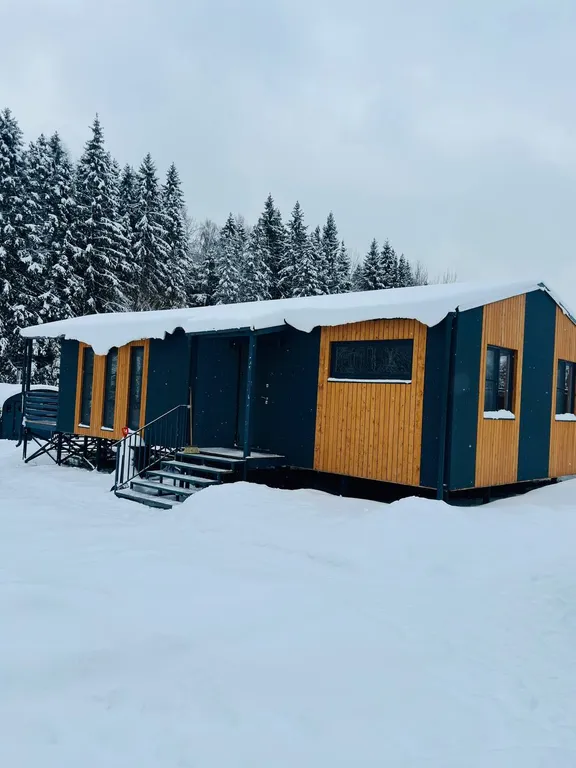 Лесная история