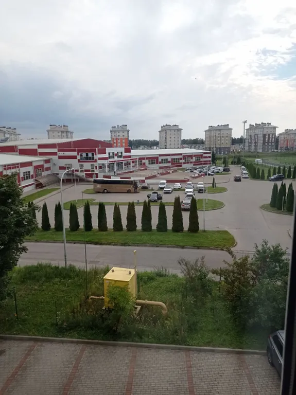 Квартира Уютная квартира — Светлогорск