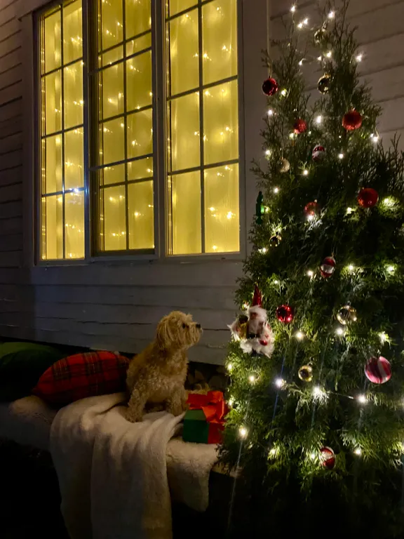 Атмосферный домик под Петербургом