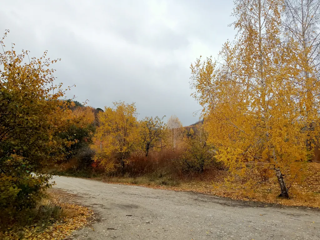 Домик в подгорье Жигулей