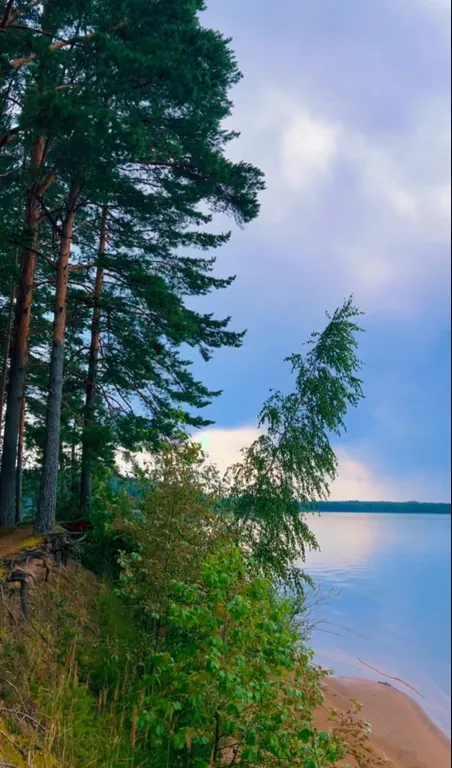 Коттедж Уютный дом на берегу озера Волго — Казаково