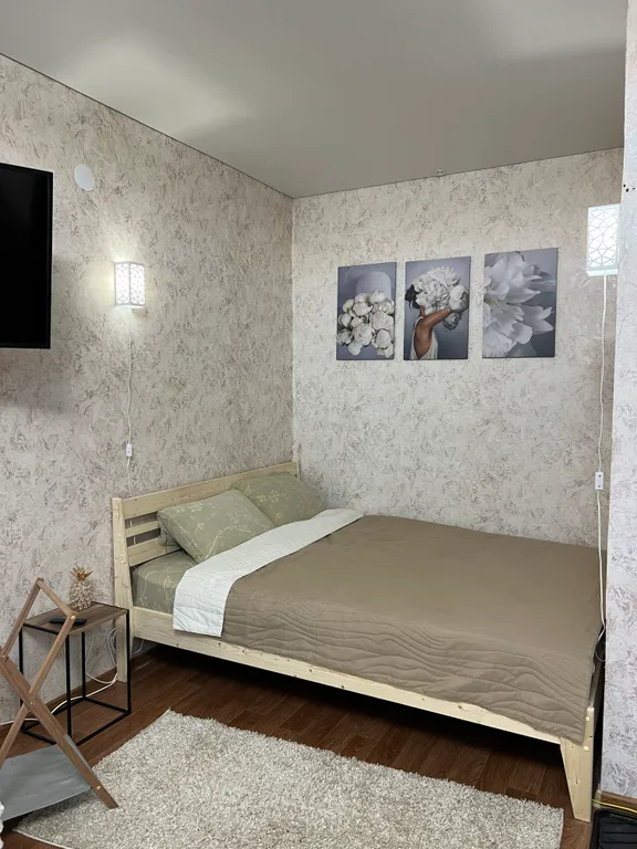 Квартира-студия комфорт — аренда посуточно в Владимир