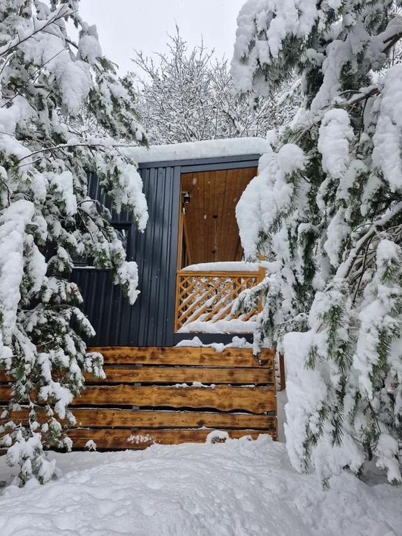 Коттедж Домик в лесу — Кисловодск