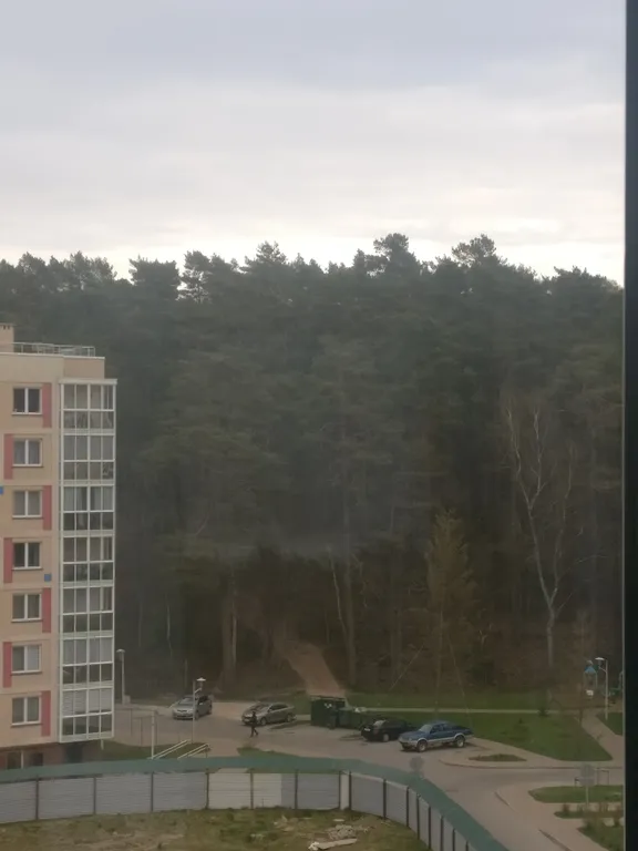 Квартира 1-комнатная Квартира — Светлогорск