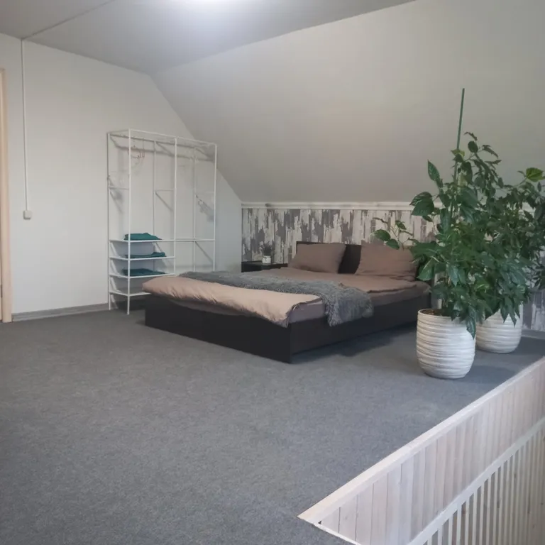 Уютный дом в сосновом лесу