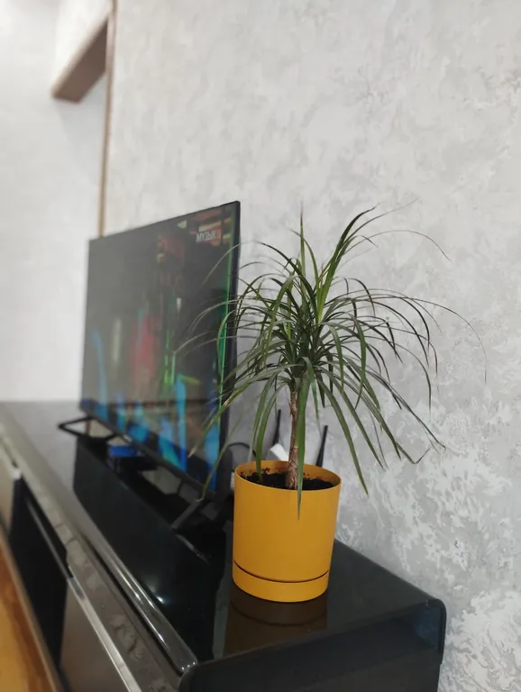 Уютный уголок Фрунзе