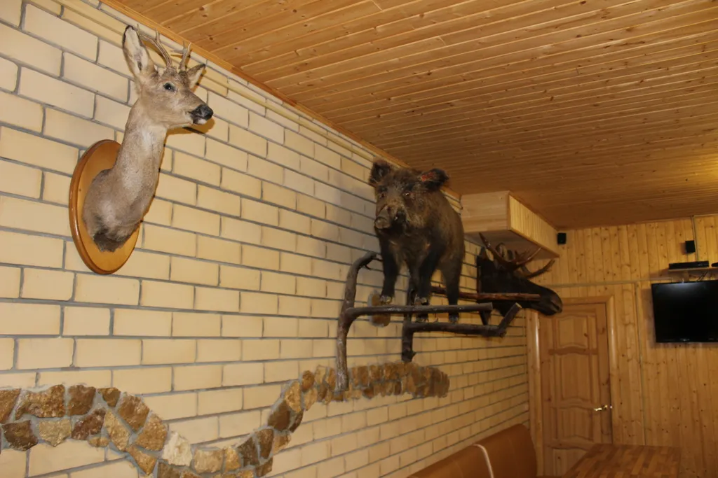 Дом охотника c камином и беседкой. Рыбалка. Мотопрокат. Корпоративы.