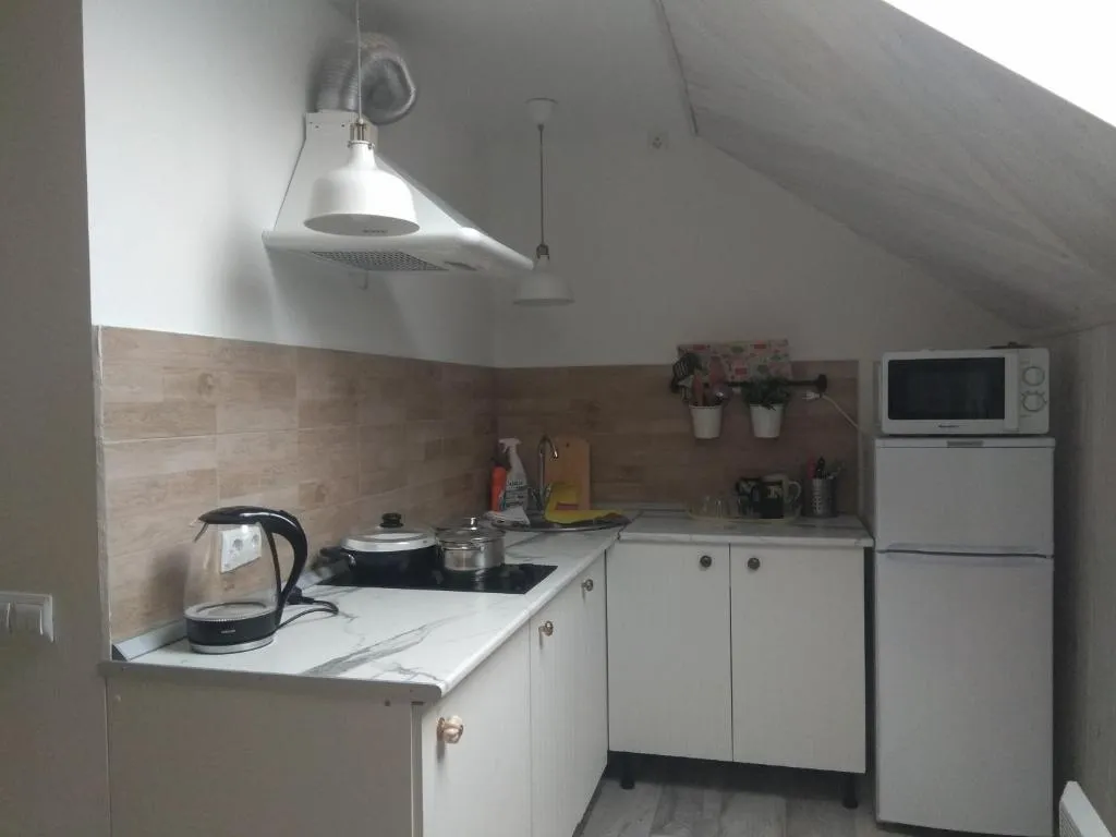 Студия на мансарде