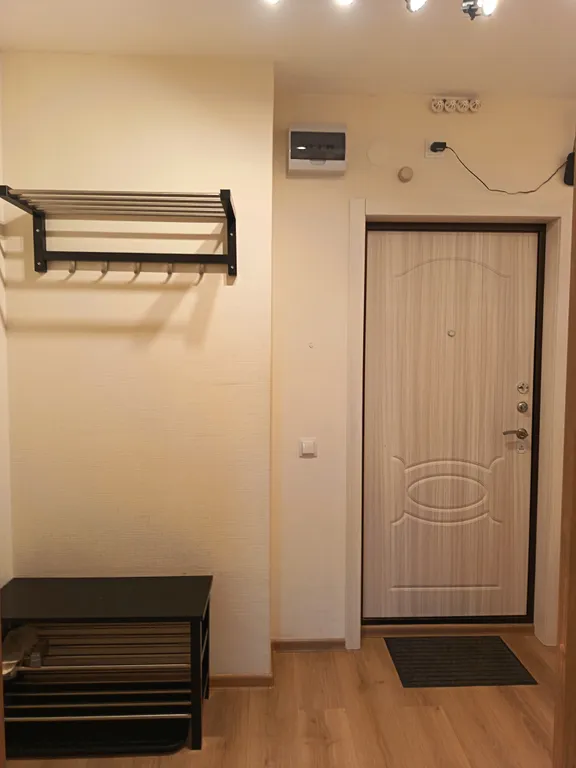 Квартира Однокомнатная квартира у НИИ Петрова — Песочный