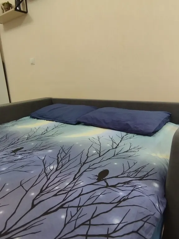 Квартира Квартира Уютная студия с видом на лес — Ломоносов