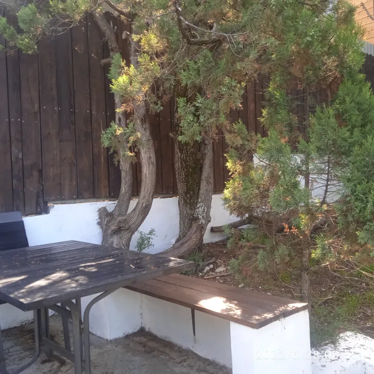 Семейный номер с видом на море