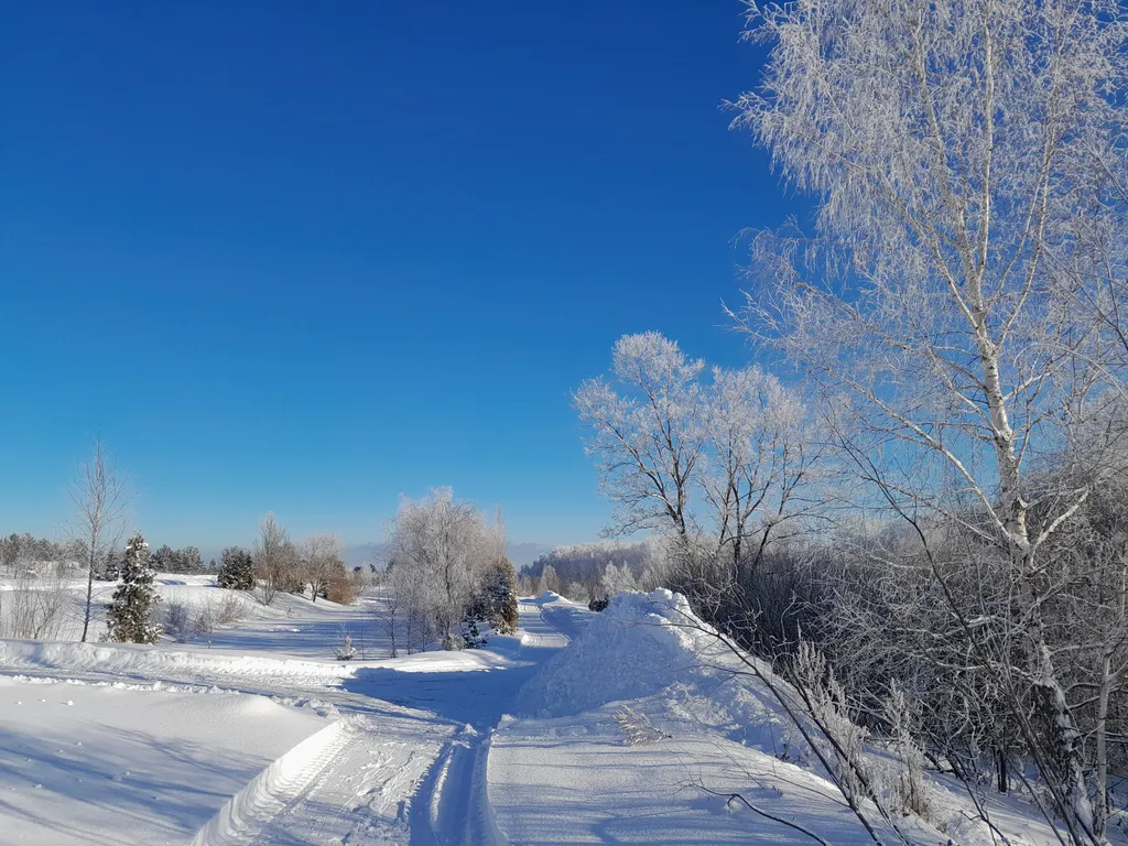 Теплый деревянный дом у воды
