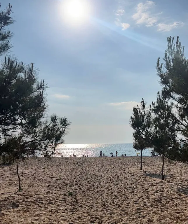 Апартаменты на первой линии в Севастополе, Любимовка