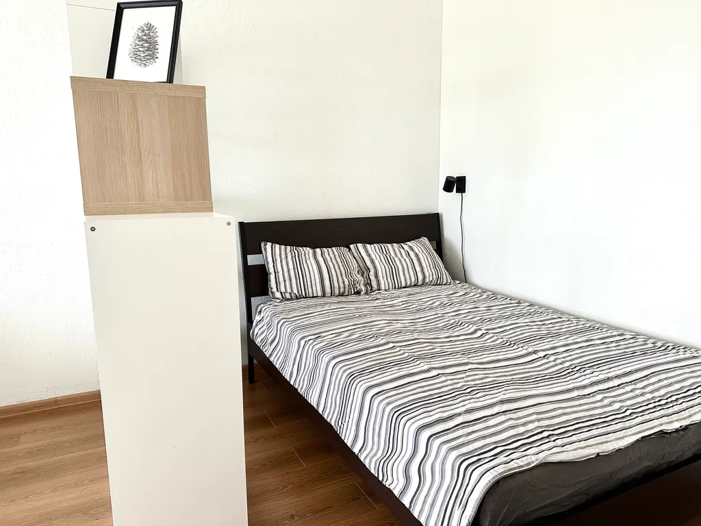 Двухкомнатная квартира у Ледового дворца