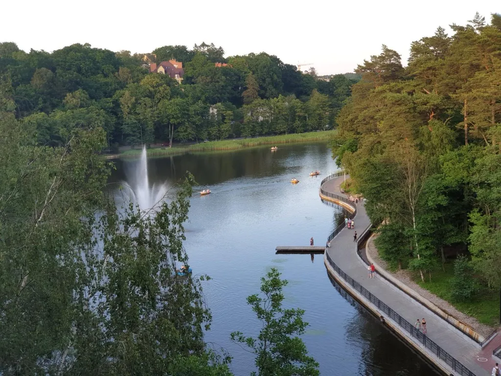 Уютная квартира с видом на озеро и сосновый лес