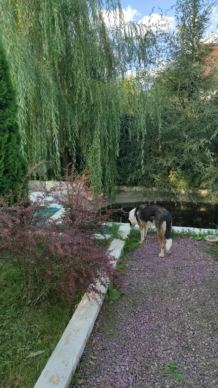 Загородный дом с баней