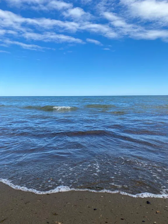 Дача у Алика