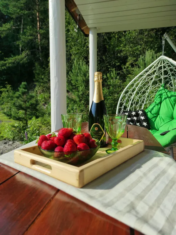 Экодомик из рубленого бревна с дровяной сауной