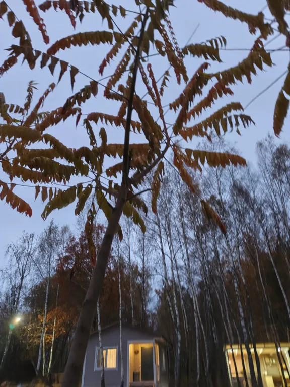 Дом с баней в национальном парке Угра