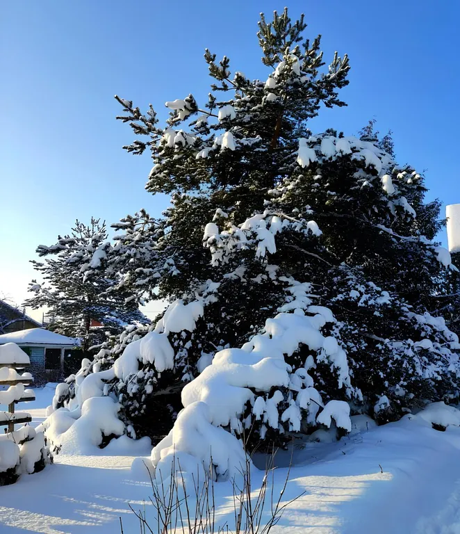 Дом с камином и садом! Две минуты до пляжа!