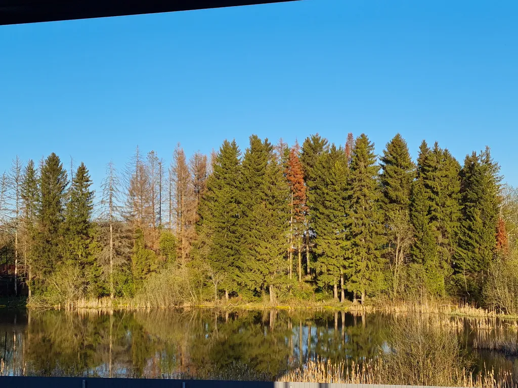 4-комнатный Дом