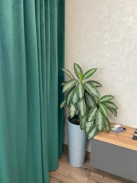 Красивая квартира, после свежего ремонта