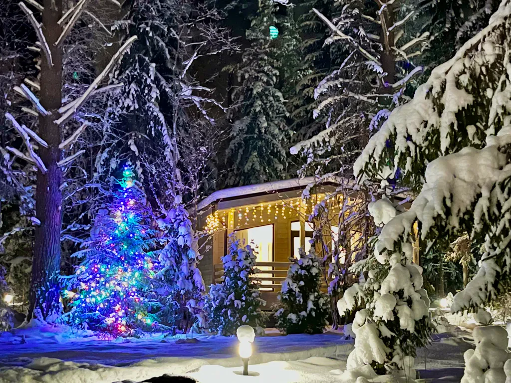 Коттедж Дизайнерский коттедж на берегу озера Волго на Селигере — Турбаза Чайка