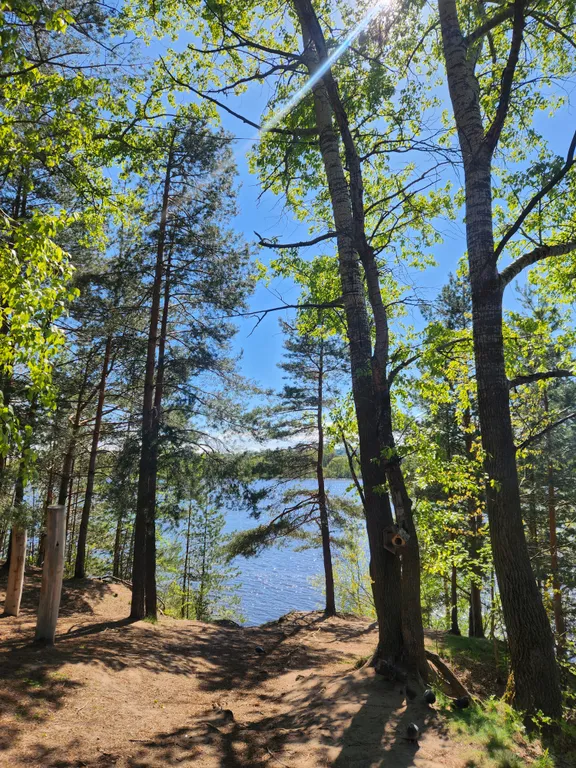 Новая уютная квартира