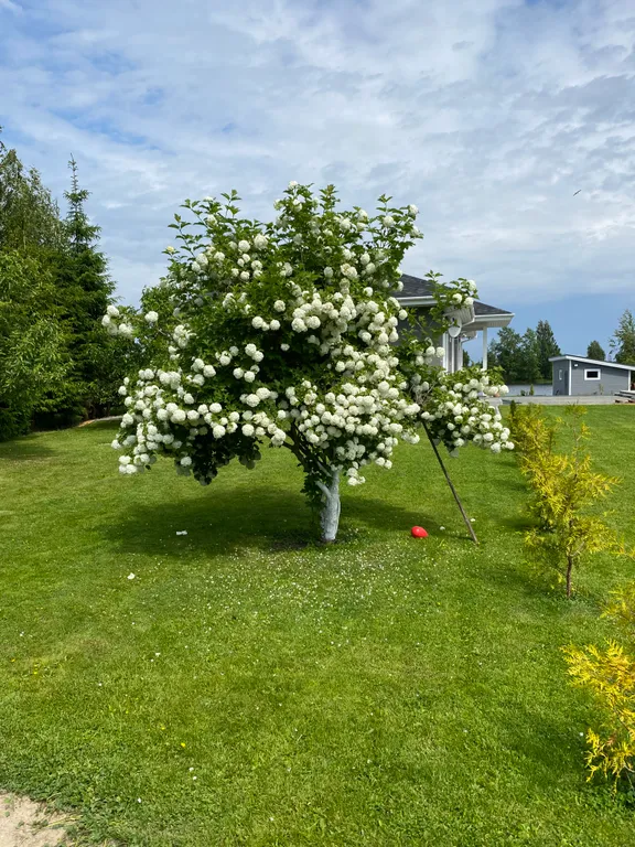 Дом для отдыха от городской суеты