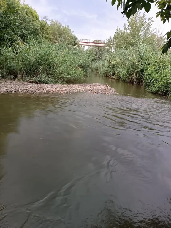 Дом-оазис природы и уюта в центре города