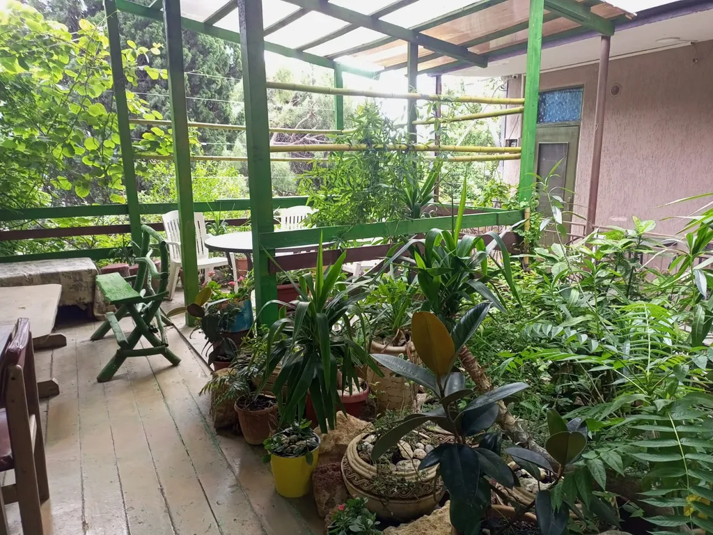 Бюджет с раздельными кроватями