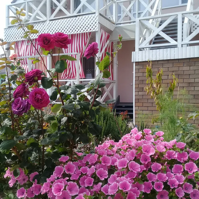 Квартира Квартира Двухкомнатный шестиместный номер на втором этаже с видом на море — Витино