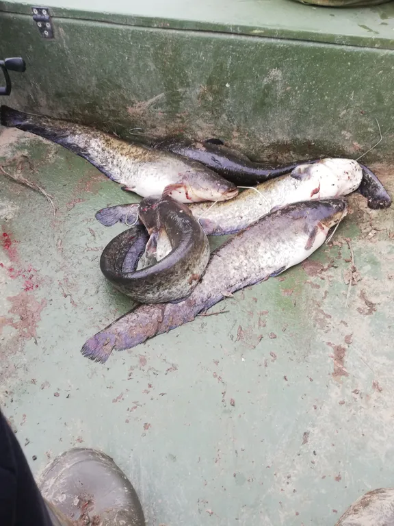 Дом для рыбалки и отдыха на берегу Астрахань