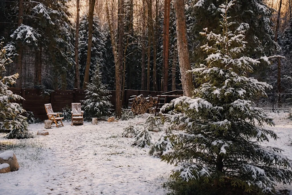 Дом около леса с чаном