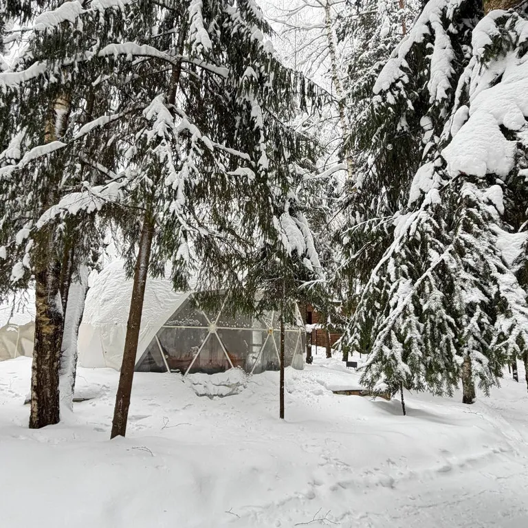 Дом для двоих в сосновом лесу