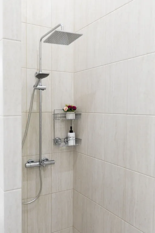 Вид на Неву, новый ремонт