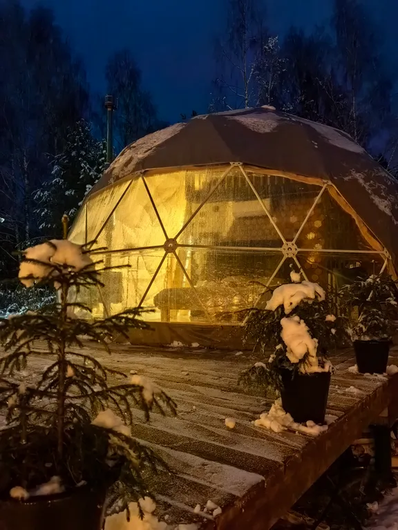 Коттедж Купол в лесу — аренда посуточно в Великие Луки