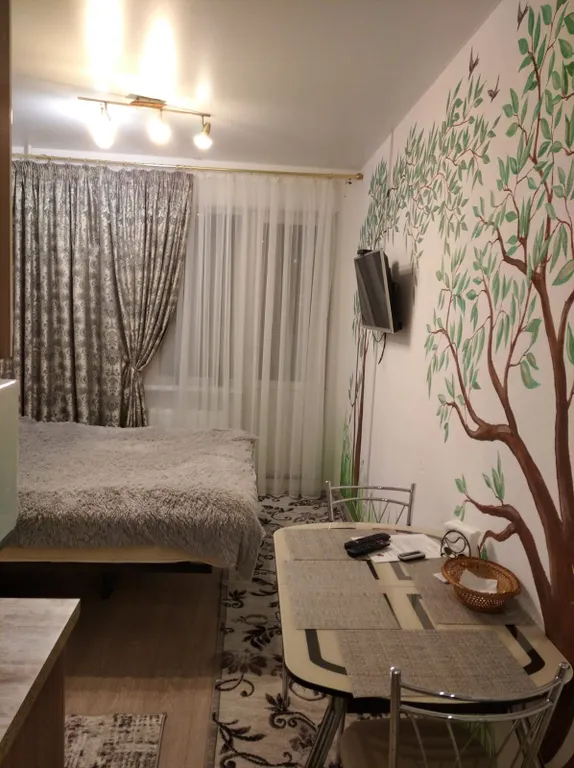 Квартира Квартира Просторная комфортная уютная студия с прекрасным видом на берег Волги — Тверь