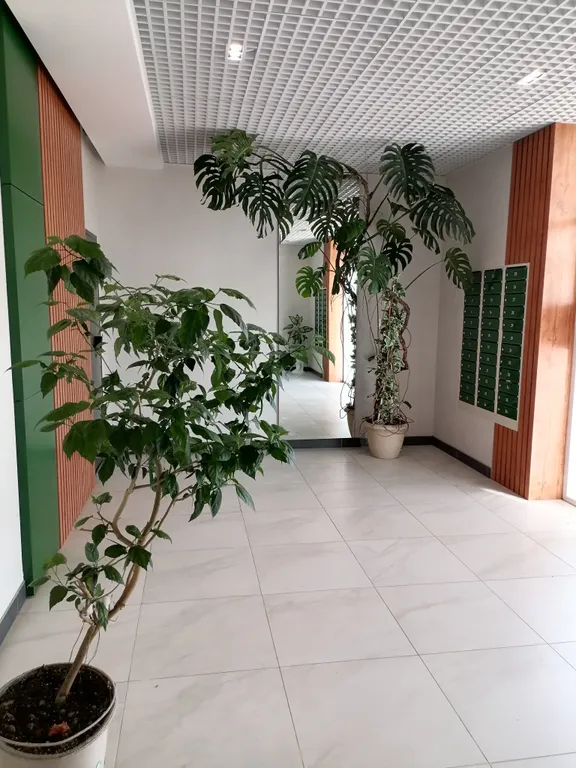 Квартира-студия в новом доме