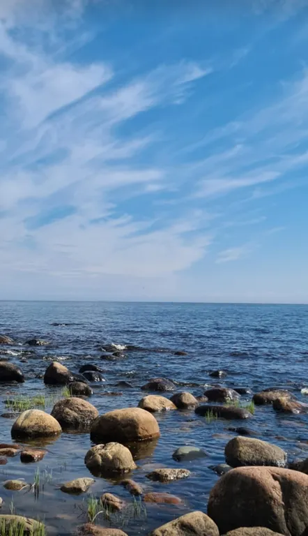 Коттедж Гостевой дом с сауной и купелью, вблизи реки и Ладоги — Видлица