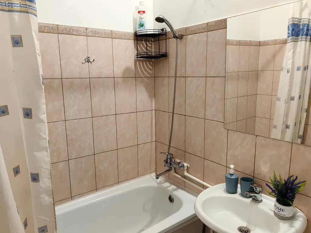 Однушка Фламинго