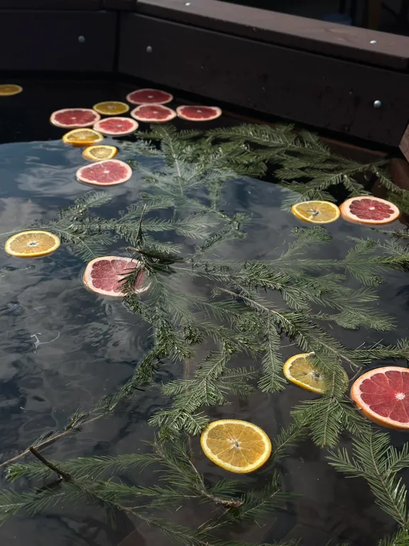 DAчA на Чёрной речке