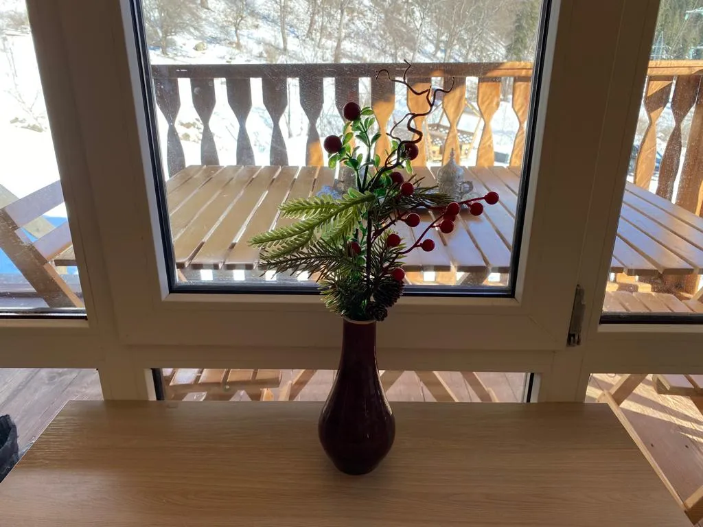 Коттедж 1-комнатный Дом — Архыз