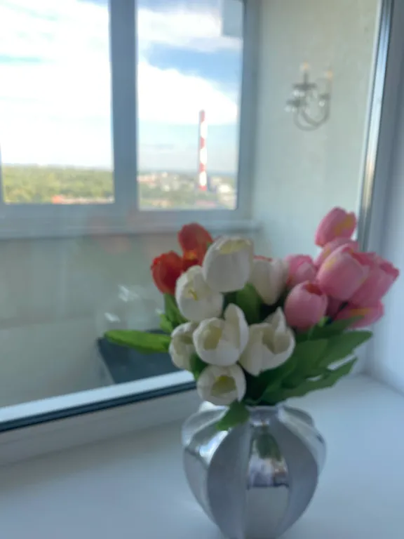 Шикарная квартира