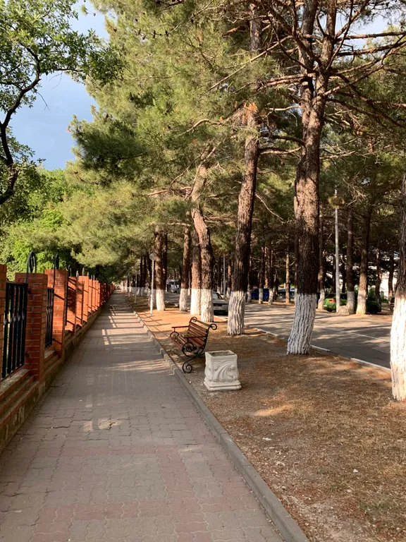 Прохладная комната в зелёном дворе