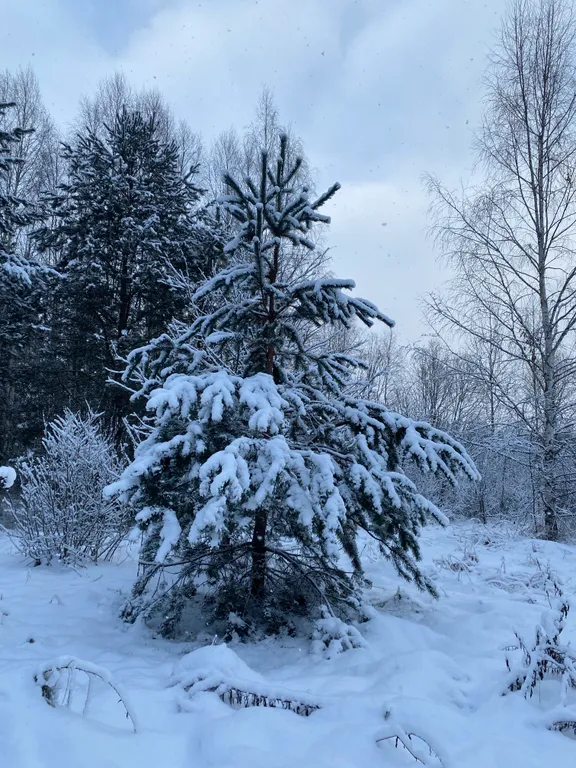 Уютный апартамент около озера