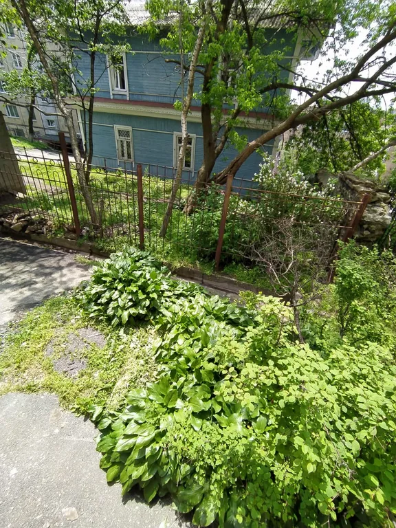 Номер в центре