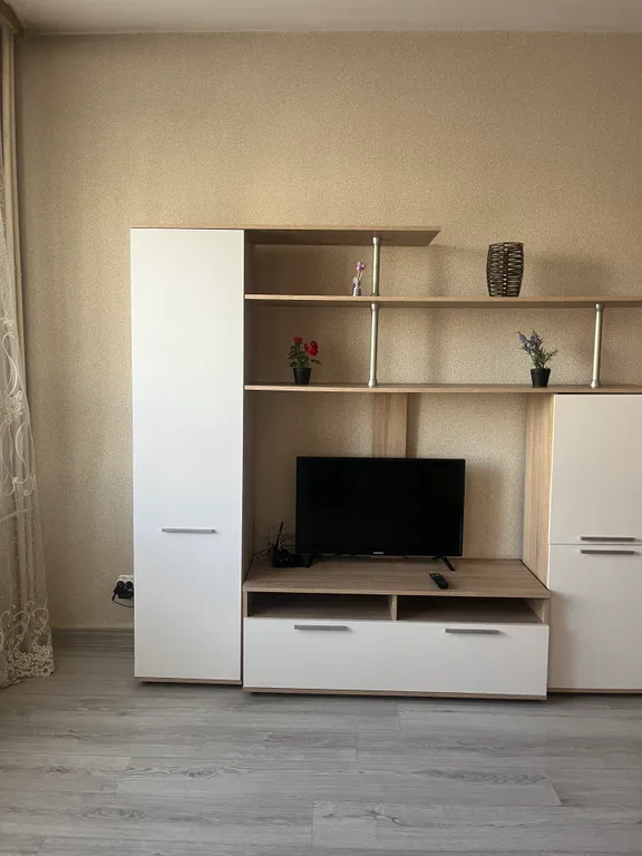 Квартира Просторная квартира в центре Иркутска — Иркутск