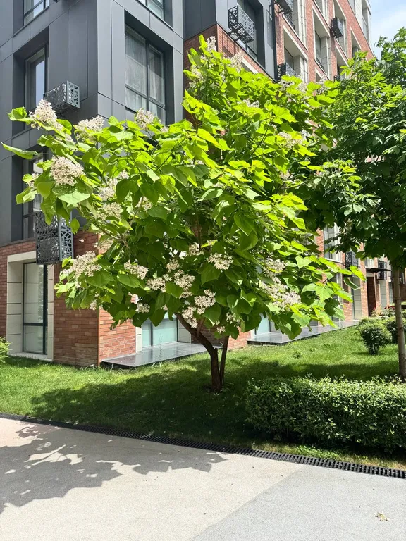 Евродвушка в ЖК 4YOU, рядом с ТЦ Mega